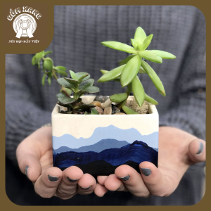 Chậu cây gốm handmade vẽ tay