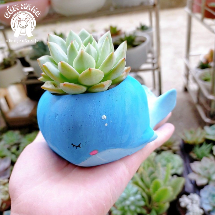 Chậu cây gốm hanmade hình thú - Ảnh 3